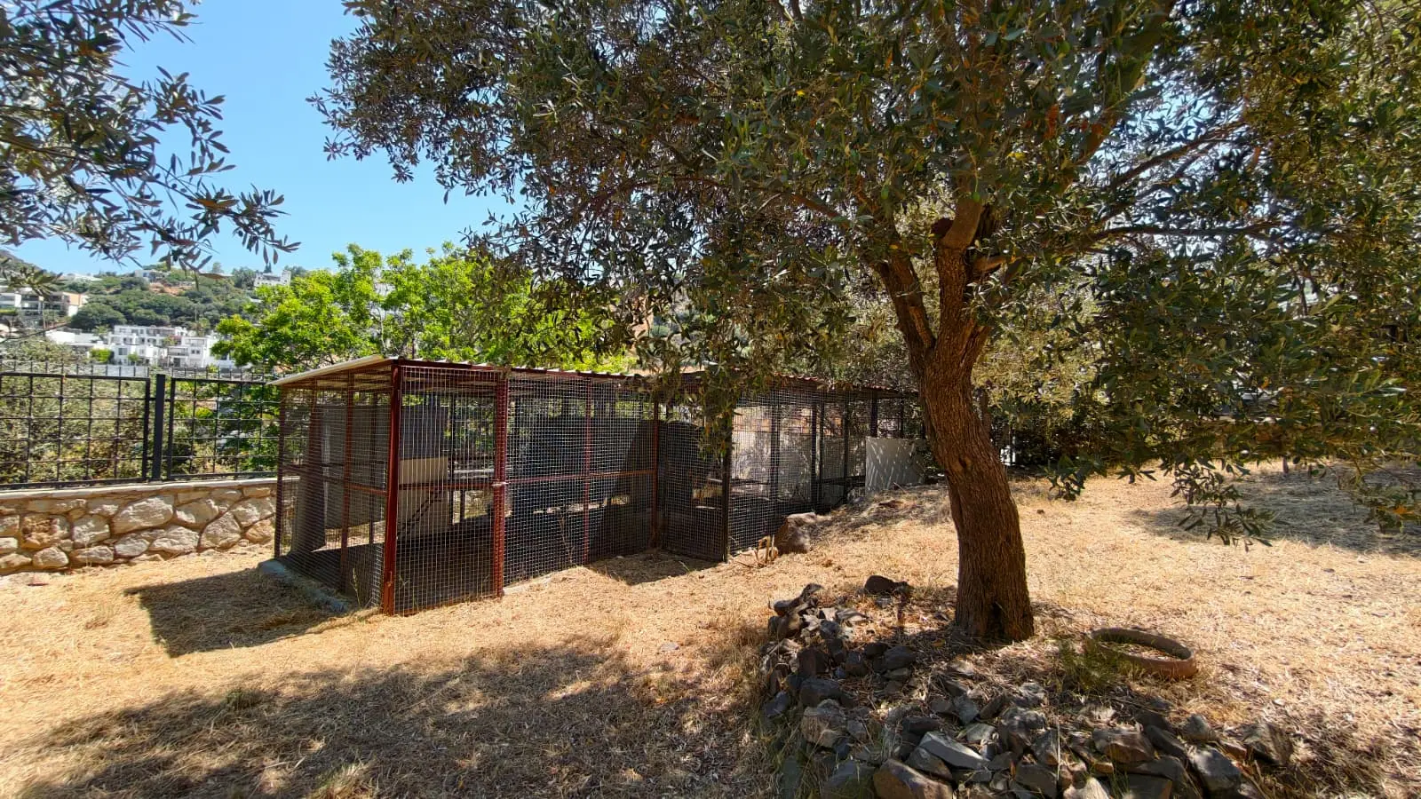 Real estate in Yalikavak